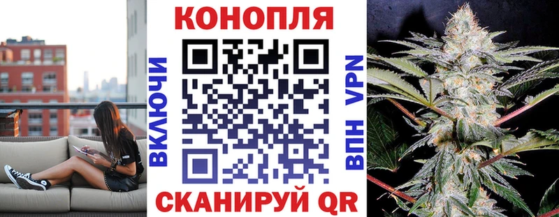 Бошки Шишки VHQ где найти кракен ТОР Михайловск
